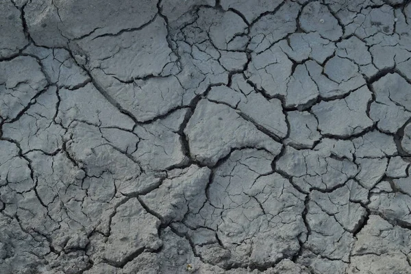 Earth cracked by a drought due to climate change.