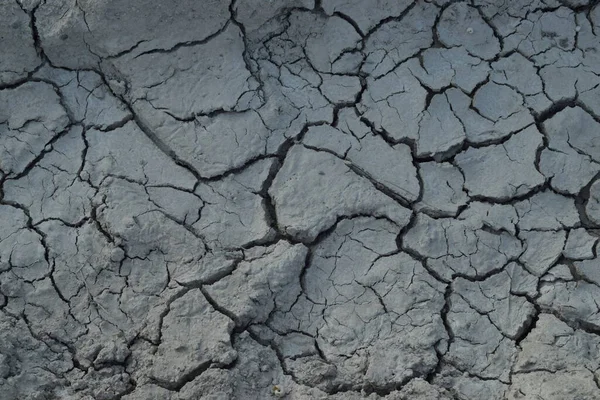 Terra Incrinata Una Siccità Dovuta Cambiamento Climatico — Foto Stock