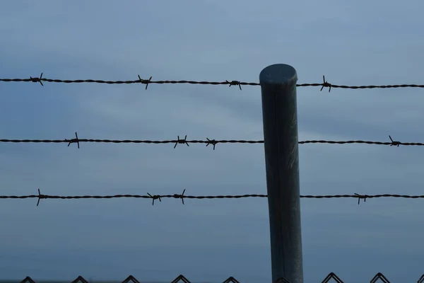 Barbed Wire Border Country — Stock Photo, Image