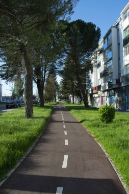 İlkbaharda parkın içinde bisiklet yolu.