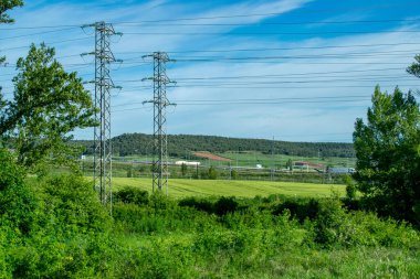 Yazın çayırlar ve ekili tarlalar.