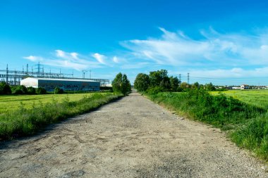 Yazın çayırlar ve ekili tarlalar.