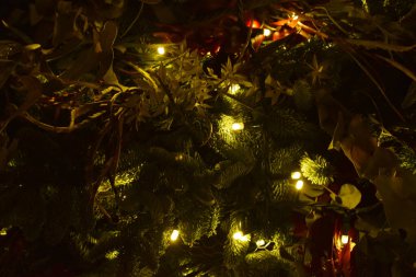 Bir ağacın dalları arasında Noel ışıkları.