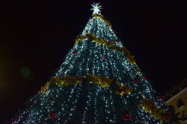 Geceleyin ışıkları olan Noel ağacı