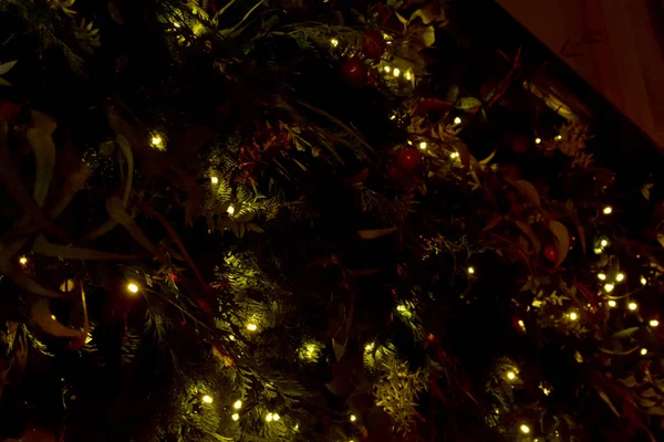 木の枝の間のクリスマスライト — ストック写真