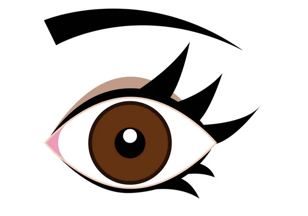 Brunt Öga Ögonfransar Och Ögonbryn Vit Bakgrund — Stock vektor