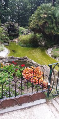 Ormanın ortasında bir göl.