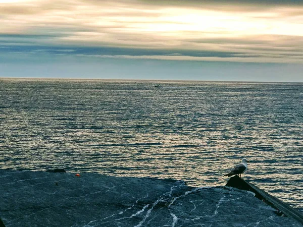 Concha Bay Sen Sebastian Španělsko — Stock fotografie