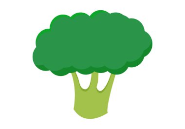 Beyaz arkaplanda yeşil brokoli.