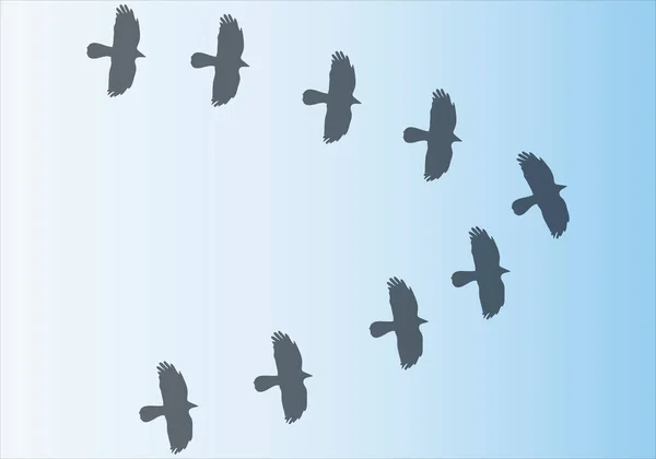 群れをなして飛ぶ渡り鳥のシルエット — ストックベクタ