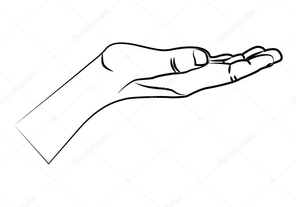 Hand in gesture of holding or offering.