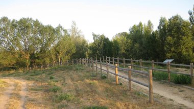 Gündüz ekin tarlaları.