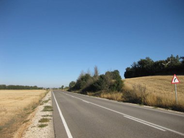 Sonbaharda bir arazide yollar.