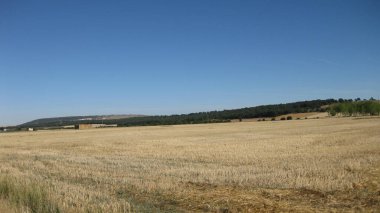 Tarlaların ve dağların manzarası..