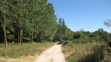 Tarlaların ve dağların manzarası..
