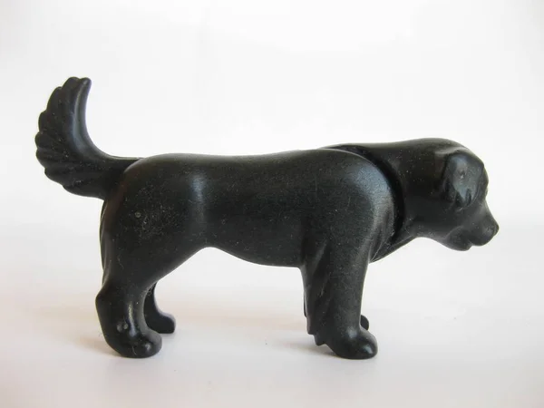 Чорний Іграшковий Собака Білому Тлі — стокове фото