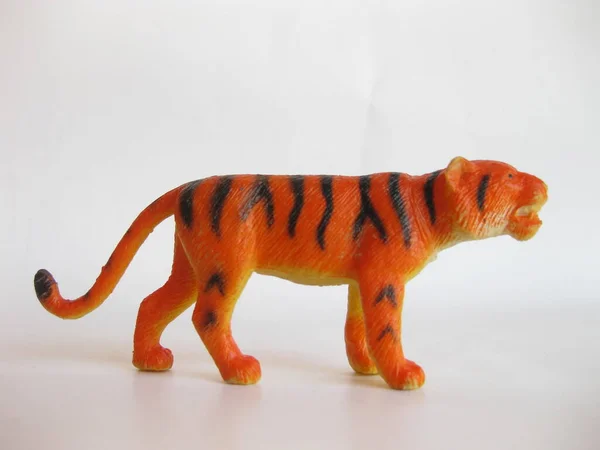 Orange Tiger Vit Bakgrund — Stockfoto