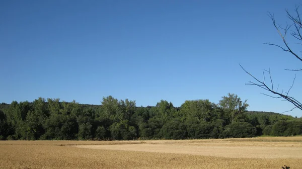 Landschaften Bestellter Felder Und Berge — Stockfoto