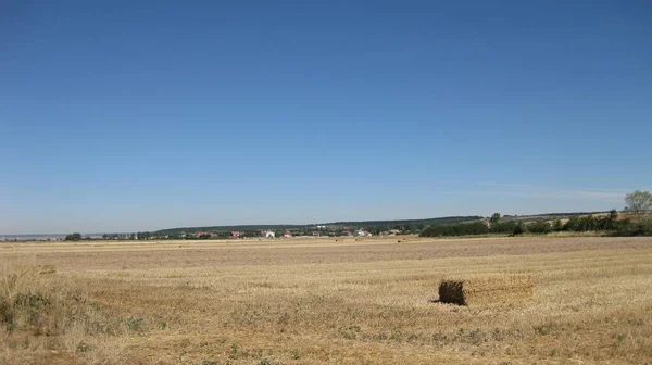 Landskap Med Odlade Fält Och Berg — Stockfoto