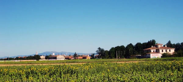 Paesaggi Campi Coltivati Montagne — Foto Stock