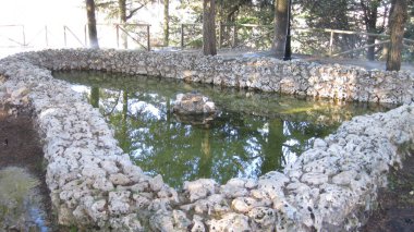 Ormandaki bir parkta göletler.