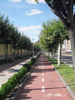 Bir yaz gününde bisiklet yolu.