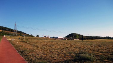 Sonbahar buğday tarlaları.