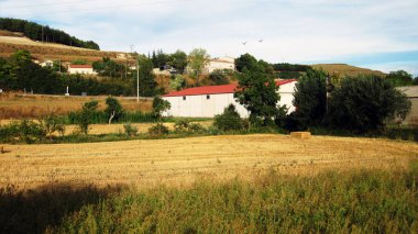 Tarlalardaki tarlalar.