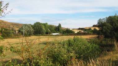 Tarlaların ve dağların manzarası..