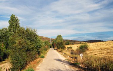 Bir dağ manzarası boyunca yollar.