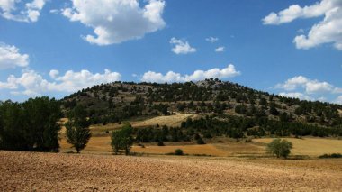 Güneşli bir günde kireçtaşı dağları.