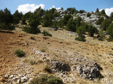 Güneşli bir günde kireçtaşı dağları.