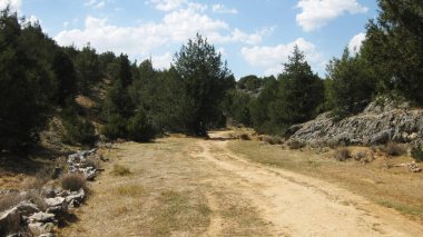 Dağ manzaralarından geçen yollar ve yollar.