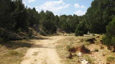 Dağ manzaralarından geçen yollar ve yollar.