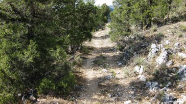 Dağ manzaralarından geçen yollar ve yollar.