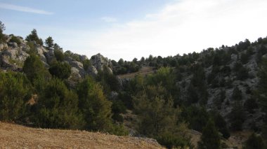 İspanya 'nın otlaklarıyla dağlık araziler.