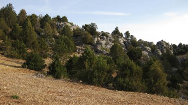 İspanya 'nın otlaklarıyla dağlık araziler.