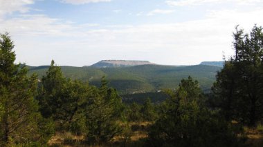 İspanya 'nın otlaklarıyla dağlık araziler.