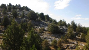 İspanya 'nın otlaklarıyla dağlık araziler.