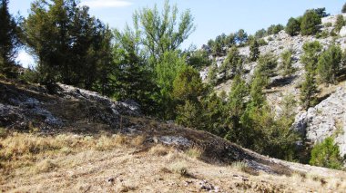 İspanya 'nın otlaklarıyla dağlık araziler.