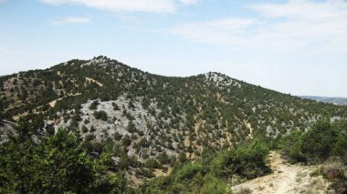 İspanya 'nın otlaklarıyla dağlık araziler.