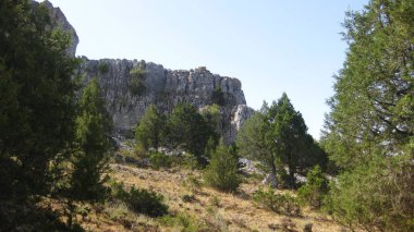 İspanya 'nın otlaklarıyla dağlık araziler.