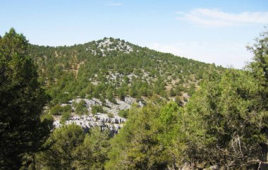 İspanya 'nın otlaklarıyla dağlık araziler.