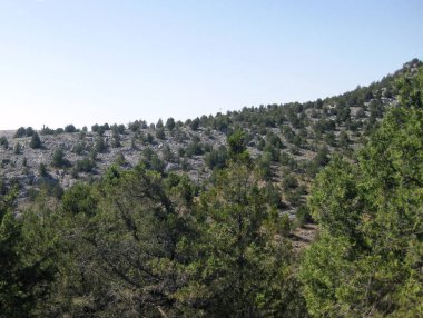 İspanya 'nın otlaklarıyla dağlık araziler.