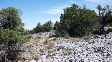 İspanya 'nın otlaklarıyla dağlık araziler.