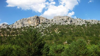 İspanya 'nın otlaklarıyla dağlık araziler.