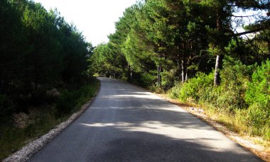 Dağ manzaralarından geçen yollar ve yollar.