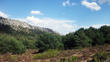 İspanya 'nın otlaklarıyla dağlık araziler.