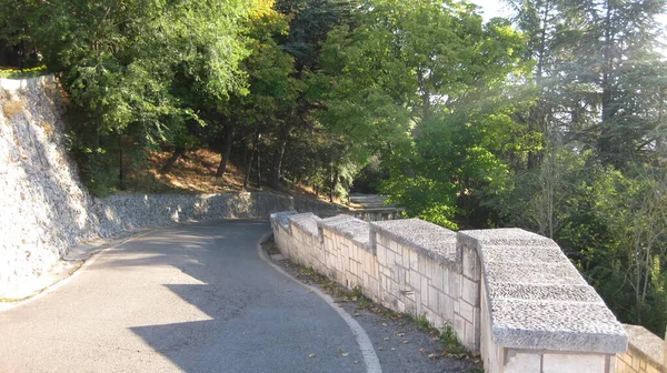 Strade Pendenza Attraverso Una Foresta — Foto Stock