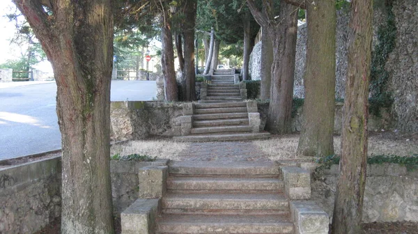 Treppen Durch Einen Wald Hinauf — Stockfoto